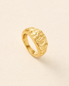 ARIA RING